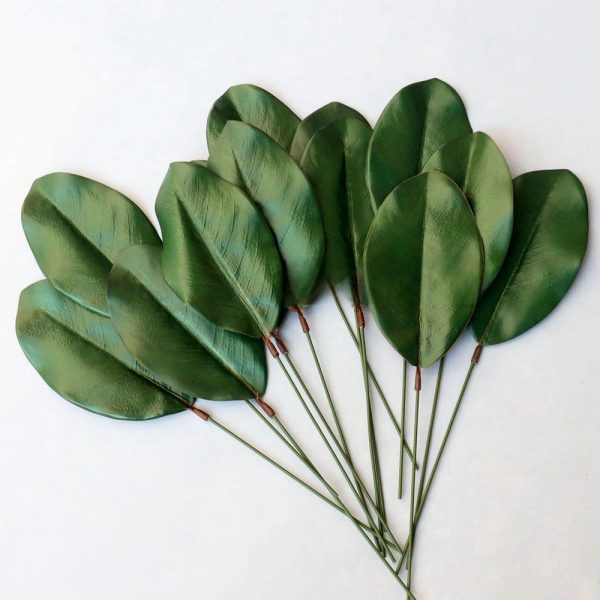 NK-TR620033 Leaves
