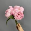 Blush pink artificial luoyang peony bouquet, 7 heads silk faux peony bunch closeup Blush pink artificial luoyang peony bouquet, 7 heads silk faux peony bunch closeup