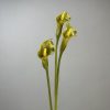 green-artificial-calla-lily-3-stems Olive green PU artificial calla lilies 3 stems, vintage faux calla lily for wabi sabi decor