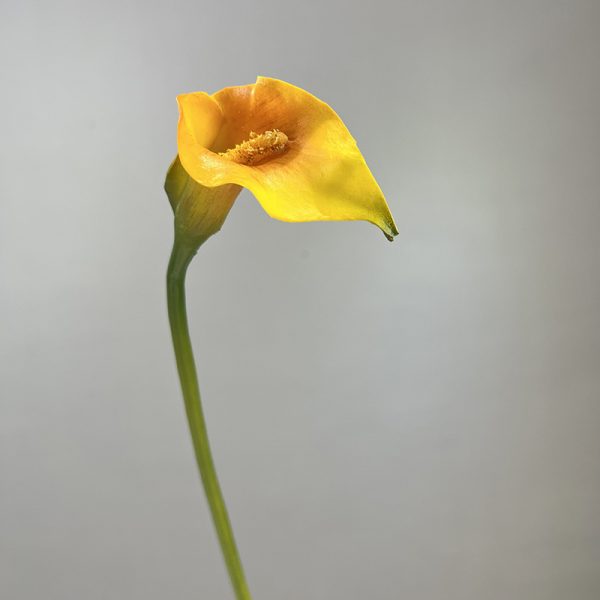 orange-pu-faux-calla-lily-stem Orange PU artificial calla lily stem, lifelike faux calla lily for floral arrangement and photography props