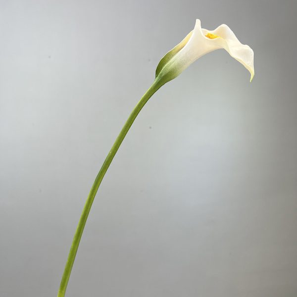 white-pu-artificial-calla-lily-single-stem White real touch PU artificial calla lily single stem, 65cm faux calla lily for home wedding decor