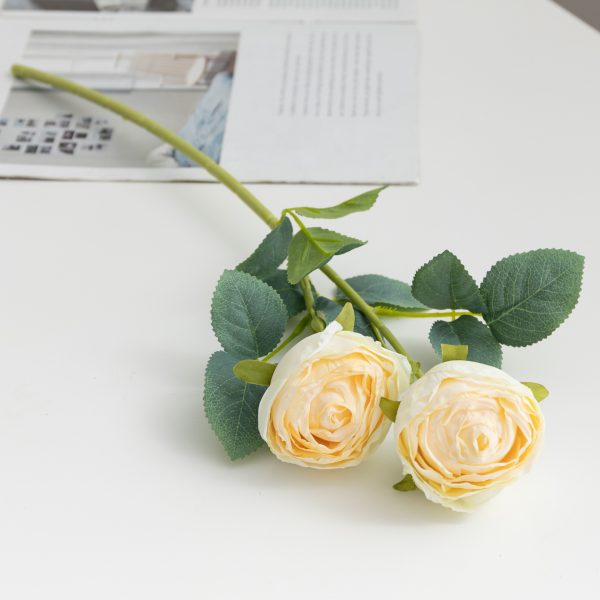 2-heads-focal-edge-champagne-artificial-rose-nk-rss623002