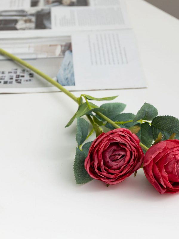 2 heads focal edge red silk artificial rose stem NK-RSS623002 on white table