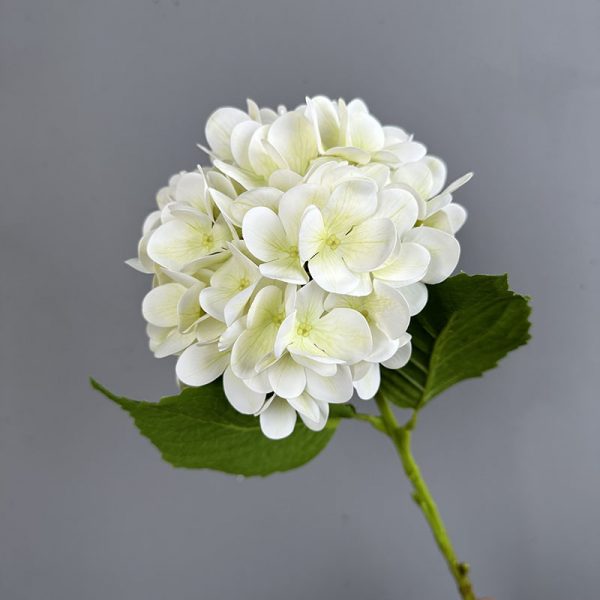 Close-up of 3D printed white hydrangea petals showing real touch texture and oil painting color effect Close-up-of-3D-printed-white-hydrangea-petals-showing-real-touch-texture-and-oil-painting-color-effect